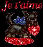 je  t'aime